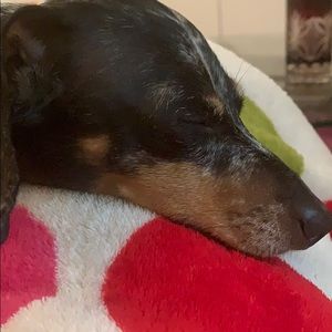 Meet your Posher, Tamarisk